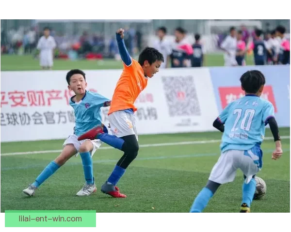 利来产品使用体验全面评测与实际效果分析揭秘