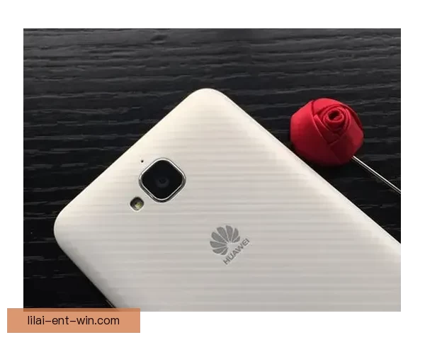 利来足球推荐平台带你精准解析赛事投注技巧与热门赔率指南